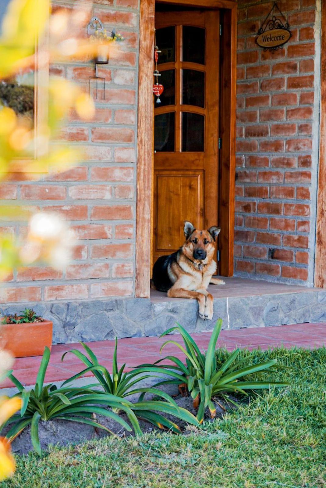 Holiday home Hacienda La Moya, Cotopaxi *